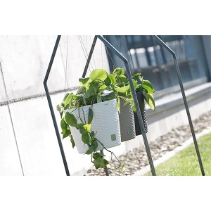 Viseća saksija Rato 26cm Prosperplast 18661 - Img 2