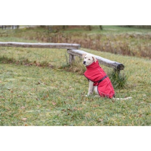Zimska termo jakna S 40cm crvena