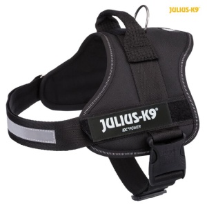 Am julius K9 2/l XL 71 96cm crni - Img 2