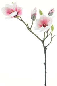 Cvet Magnolia 82cm roze 040079