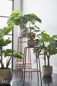 Drvo Monstera 100cm 040428 - Img 3