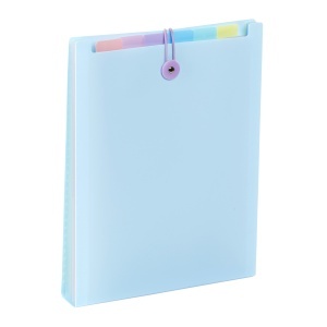 Expanding organizer sa 6 pregrada i gumicom USPRAVNI Rainbow Pastel - Img 3