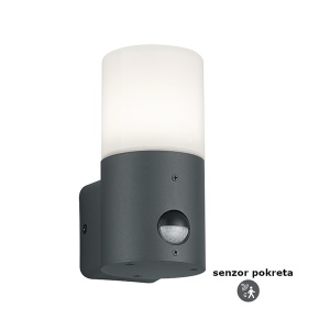 Fasadna lampa Hoosic senzor 1xE27 IP44 Trio Lighting 222260142