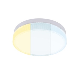 LED plafonjera 24W promenljiva boja svetla LPF-KR/O-24/CCT