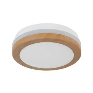 LED plafonjera 24W, promenljiva boja svetla X09-300-24W