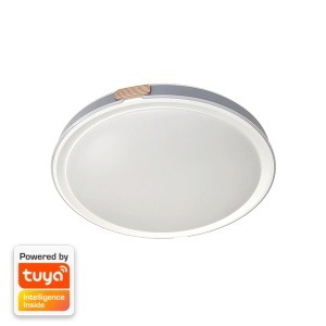 Led plafonjera 36W CCT dimabilna EL-2202 Smart Elmark 95EL220236CCT