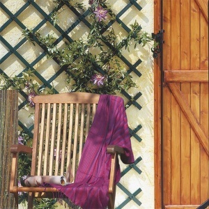 Merdevine za puzavice 1x2m Trellis 170202 - Img 2