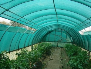 Mreža protiv sunca 5,5x50m 275m2 Bomber 079356 - Img 2