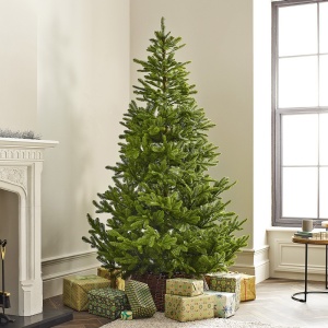 Novogodišnja jelka Koreana Spruce 180cm 68.9981 - Img 3