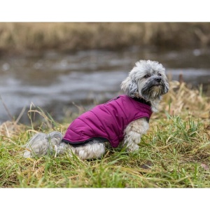Odelce za pse Arlay S 36cm ciklama Trixie 680336 - Img 4