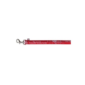 Povodac Follow, M-L, 1m/20mm, crveni 15462