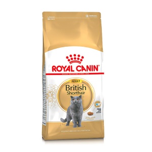 Royal Canin British Shorthair 34 2kg RV0670