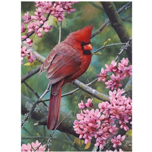 Slagalica Priroda RAVENSBURGER 01-146192