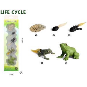 Životni ciklus žabe set od 4 dela 34651 - Img 2