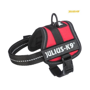 Am za pse XS/mini 40-53cm/22mm crvena Julius K9 Baby Trixie 150103