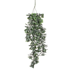 Cvet Crassula 79cm zelena 040427