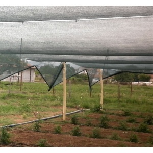 Mreža za zasenu 1,2x50m 60m2 1SZ1.2 - Img 2