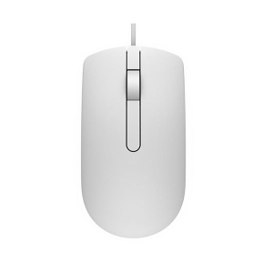MS116 USB Optical beli miš