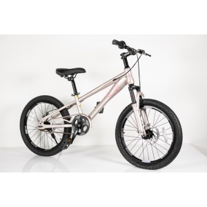 MTB Dečiji bicikl 20in Winner BIC.20/1 -TN24Q22 čelik 115-135cm 1 brzina roze