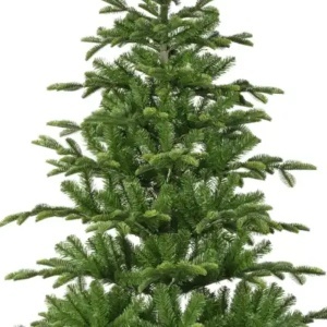 Novogodišnja jelka 240 cm zelena Balsamea Fir Everlands 68.4472 - Img 4