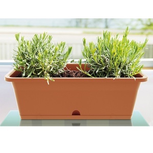 Saksija 50x18x17cm Terakota Camelia Prosperplast PR DCM500-R624 - Img 2