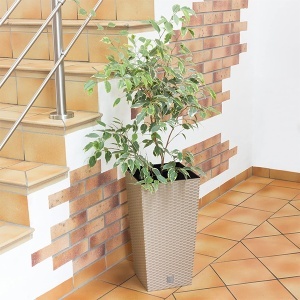 Saksija Rato Square 40x40x75cm Moka Prosperplast PR DRTS400-7529U - Img 2