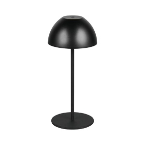 Stona lampa Ortiz 2W 3000K Trio Lighting R55601132