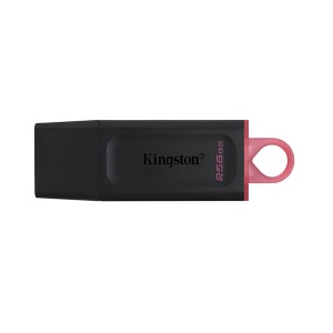 USB memorije 256GB DataTraveler Exodia USB 3.2 Gen1 DTX/256GB Kingston USB01150 - Img 2