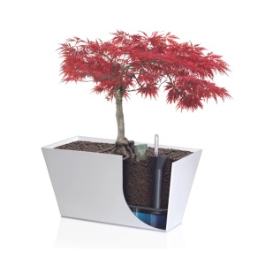 Žardinjera sa rezervoarom i vodomerom 40x20x21cm Prosperplast 14350 - Img 2