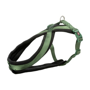Am Premium L 60-100cm/25mm zeleni Trixie 03AM0TR204119