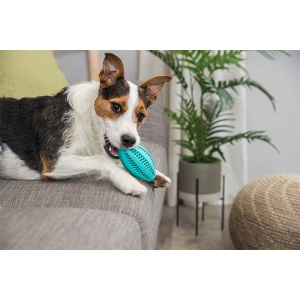 Igračka za pse Trixie Denta Fun Ragbi lopta 11cm guma plava - Img 2