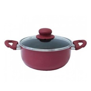 Lonac sa poklopcem Expression 24cm Tefal D29246