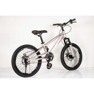 MTB Dečiji bicikl 20in Winner BIC.20/1 -TN24Q22 čelik 115-135cm 1 brzina roze - Img 3