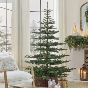 Novogodišnja jelka Nobilis fir D182cm H240cm Everlands 68.9203 - Img 3