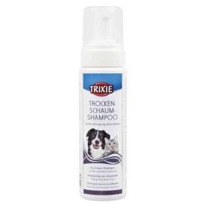 Pena za suvo pranje 450ml