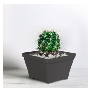 Saksija Melrose kvadrat 20cm - Img 2