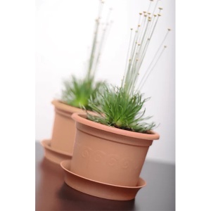 Saksija Plastica 34x26cm Prosperplast PR DP34-R624 - Img 2