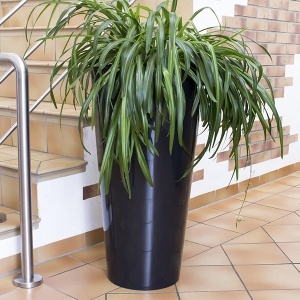 Saksija Tubus Slim Shine 40x77cm Antracit Prosperplast PR DTUS400S-S433 - Img 2