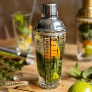 Šejker Moi 0.4 l srebrni 039040