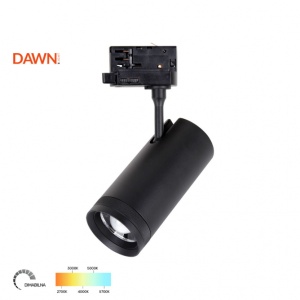 Šinski reflektor OPS-T6230 30W CCT crni Trof 300113