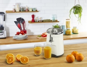 TEFAL CEDILJKA ZA CITRUSE ZP610A