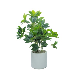 Veštačka biljka Schefflera 025187