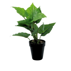 Veštačka biljka Taro Mini 35cm 025082
