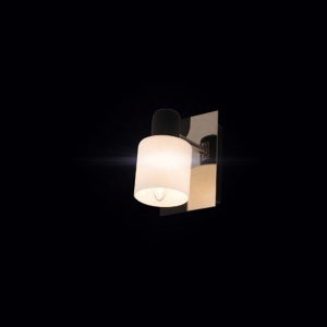Zidna lampa Vesta 55