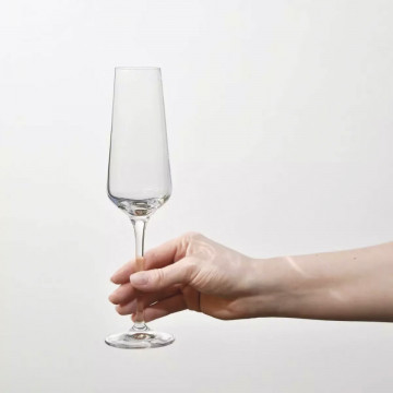Set de 2 pahare de sampanie cu loc pentru sticla de sampanie in carcasa Elegance