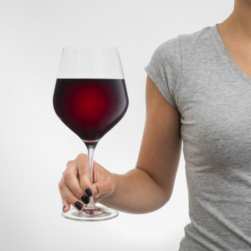 Set de 2 pahare uriase de vin cu loc pentru sticla de vin in carcasa Elegance