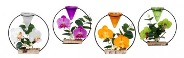 Aranjament Round Orchid cu suport de lumanari metalic oranj 19x18 cm - Img 2