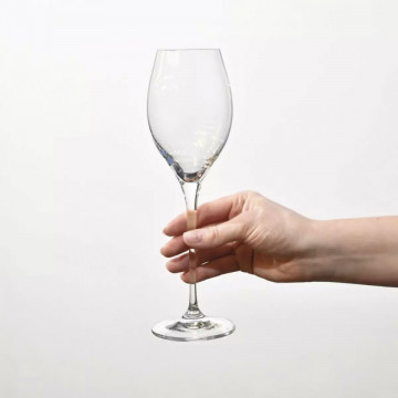 Set de 2 pahare de prosecco sau sampanie cu loc pentru sticla de sampanie in carcasa Elegance