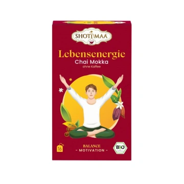 Ceai balance - lebensenergie - chai moka ( fara cafea ) bio 16dz x 2g 32g Shotimaa