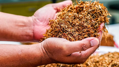 Descoperiți magazinul online de top specializat în produse din tutun în găleți și pungi